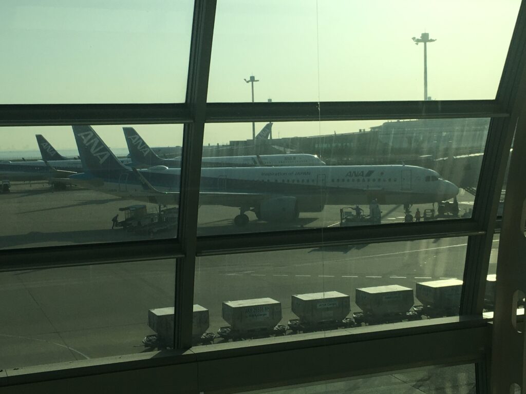 羽田空港の駐機場に並ぶANA国内線の飛行機