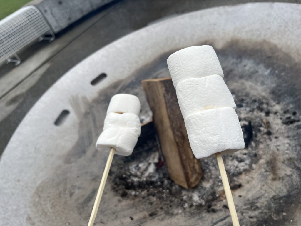 焚き火で作る焼きマシュマロ