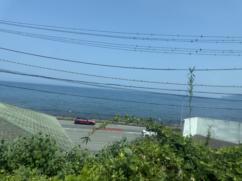 特急踊り子の車窓から見える海